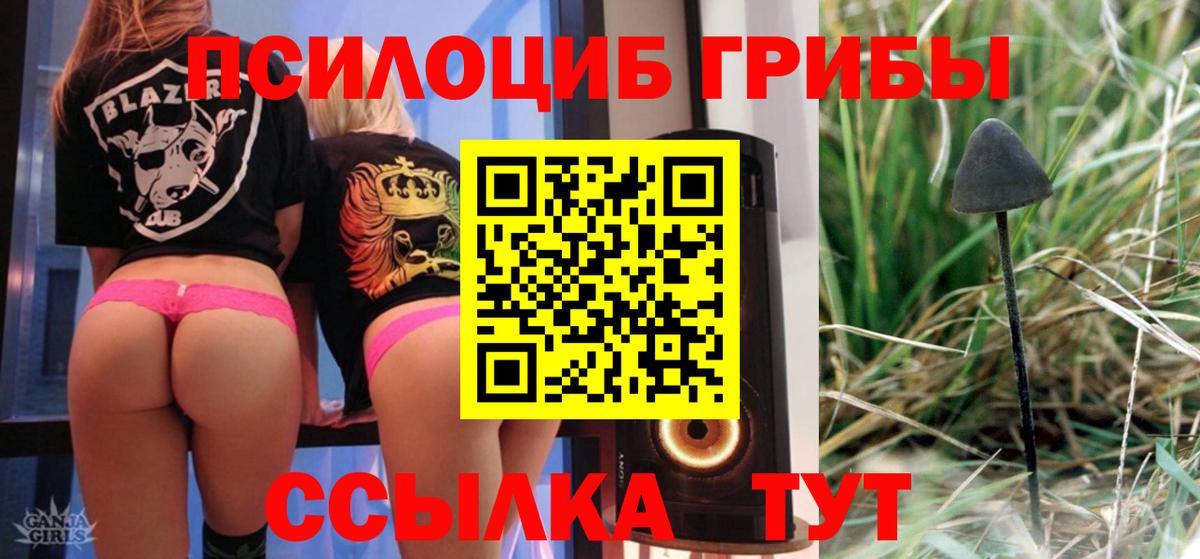 Галлюциногенные грибы прущие грибы Александров