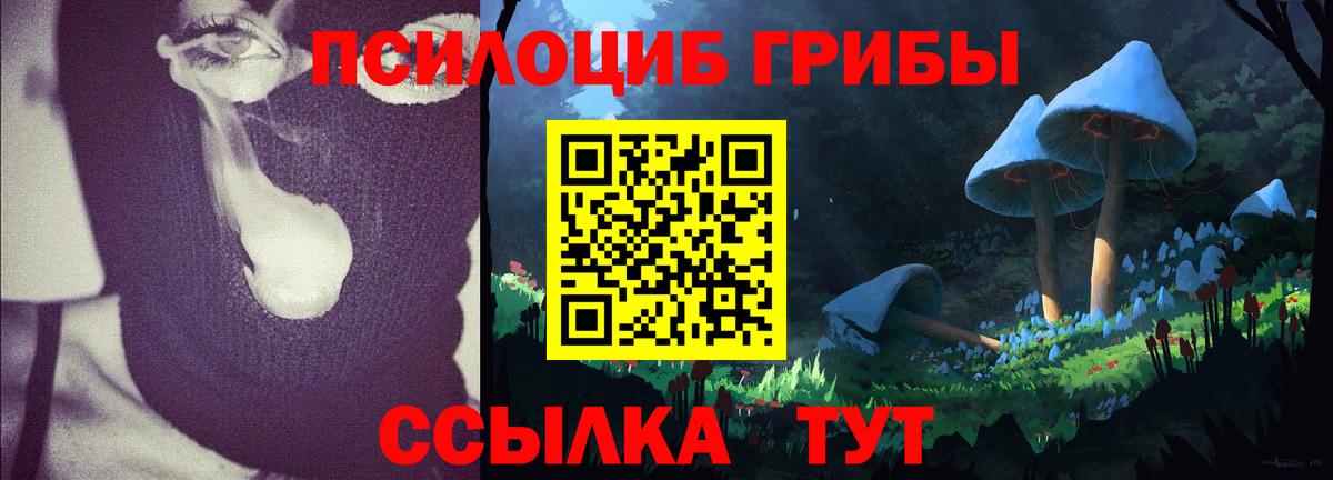 Псилоцибиновые грибы MAGIC MUSHROOMS  Вход с VPN  Александров 